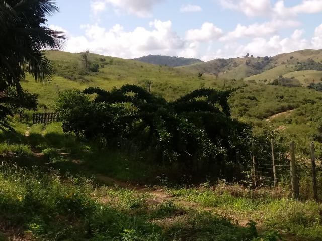 Fazenda Ipiaú vale do Gongoji de 1.150ha com estrutura e sede. Oportunidade - Foto 15