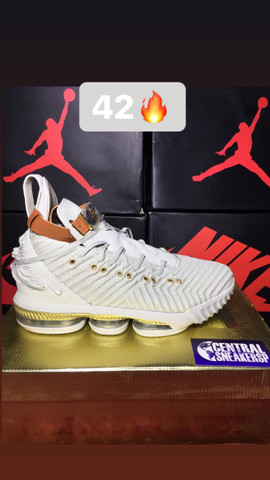 Nike LeBron James 16 HFR 42