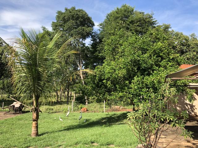 Ótima chácara em Bela Vista de Goiás - Foto 18
