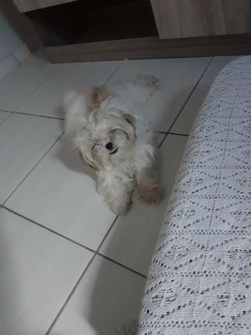 Vendo