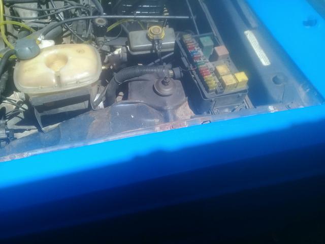Pampa para vender - Foto 2