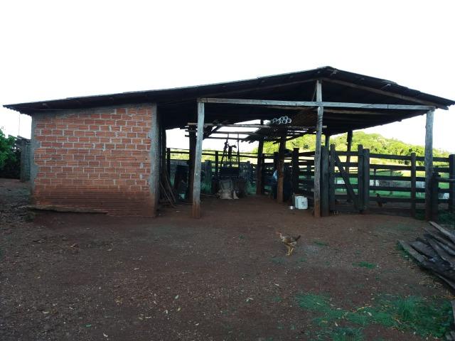 Área rural localizado na cidade de Lindoeste-PR - Foto 5
