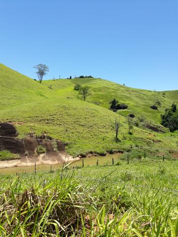 Fazenda com 31 alqueires es - Foto 4