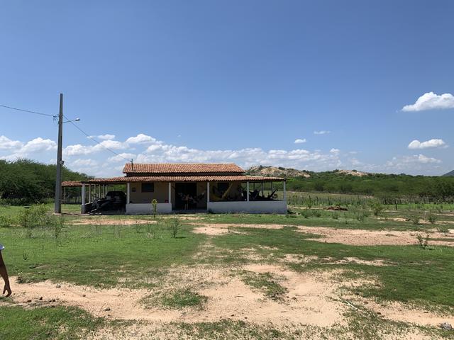 Chácara próximo a Patos - Foto 10