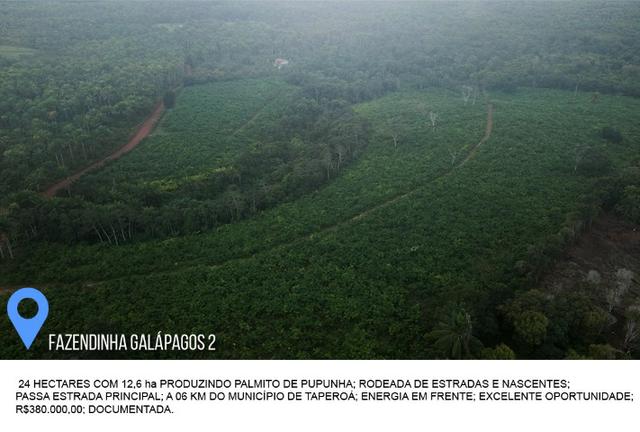 Fazenda Galápagos 2 - 24 Hectares - Foto 3