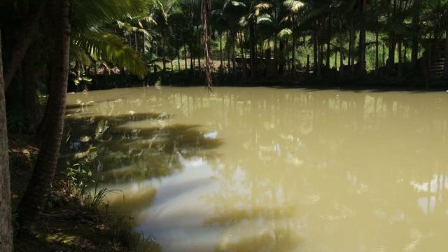 Otima Oportunidade - Foto 8
