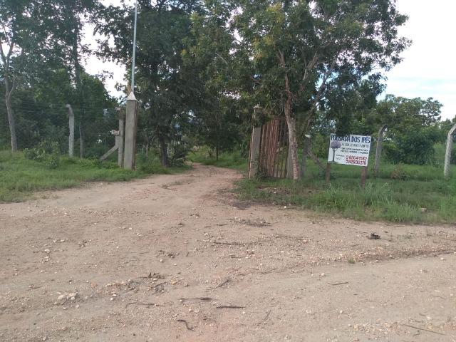 Oportunidade - Foto 4