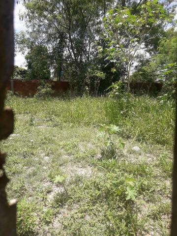 Terreno murado e escriturado - Foto 7