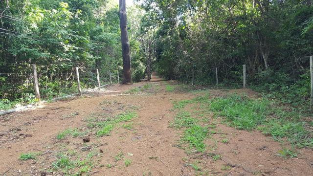 JP 013 -Ótima fazenda colado no Gama,excelente localização - Foto 2