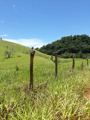 Fazenda com 31 alqueires es