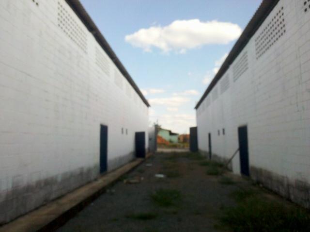 Vendo Galpão BR 153 - Particular - Foto 12