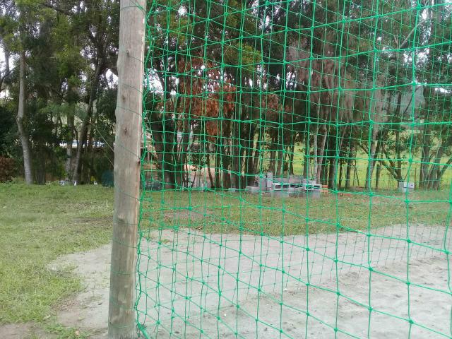 Lindo sitio Imaruí figueira grande - Foto 3