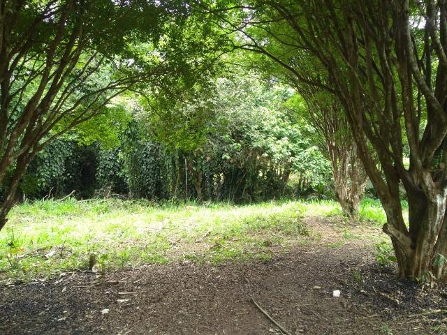 03* Ultima unidade 1000m² Arujá! - Foto 5