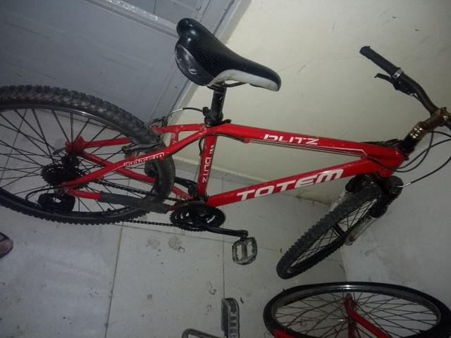 Bicicleta totem - Foto 5