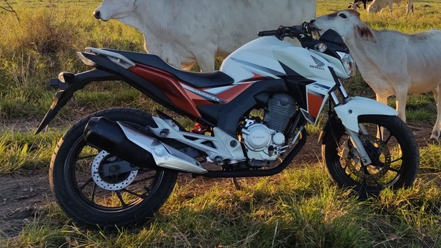 HONDA CB TWISTER 250F 2017