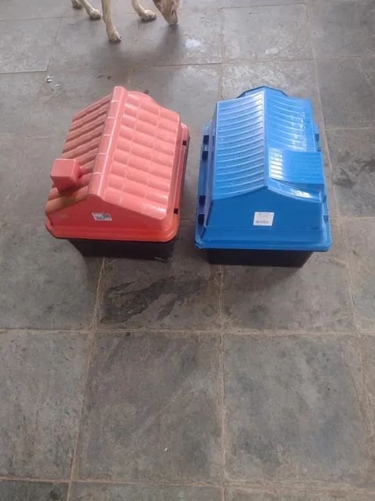 PET - Casinhas - Foto 4