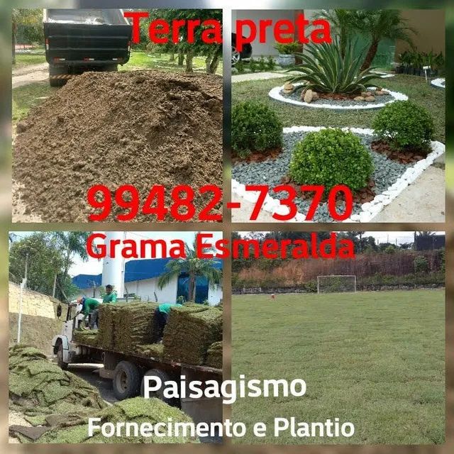 Entrega e Plantio de Grama e Jardins - Paisagismo - Foto 2