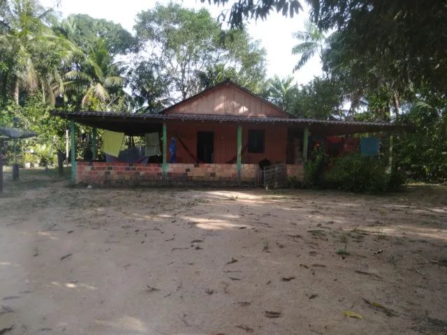 Lote 60 hectares  - Foto 2