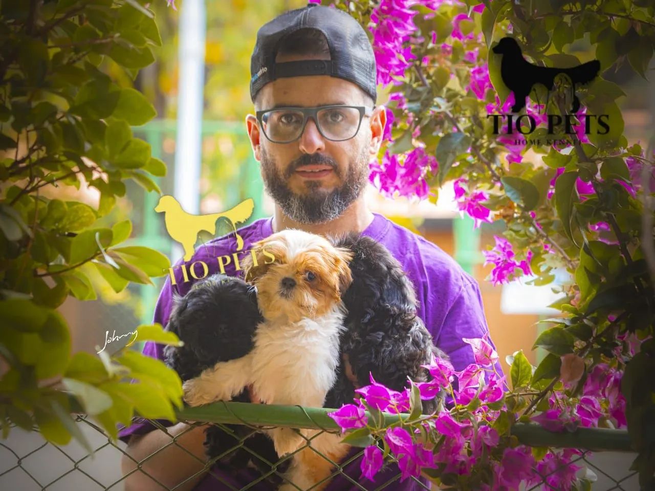 Shih Tzu Fêmea e Macho filhote - Foto 5