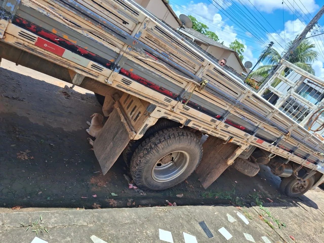 Ano - 2003 Motor - MWM X10 Todo revisado  Valor : 85,000 - Foto 3