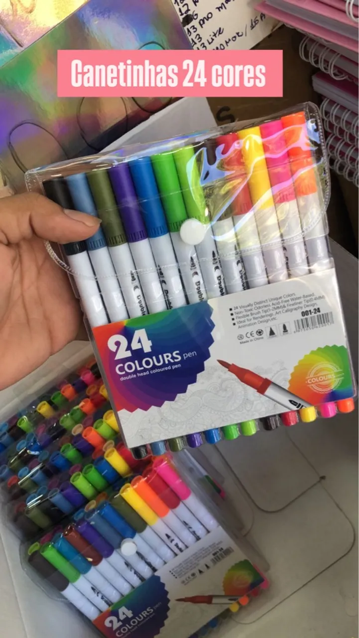 Canetinhas 24 Cores Dupla Ponta