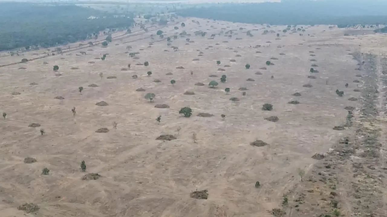 Fazenda arrendamento 2.250 hect em Sonora MS.  - Foto 5