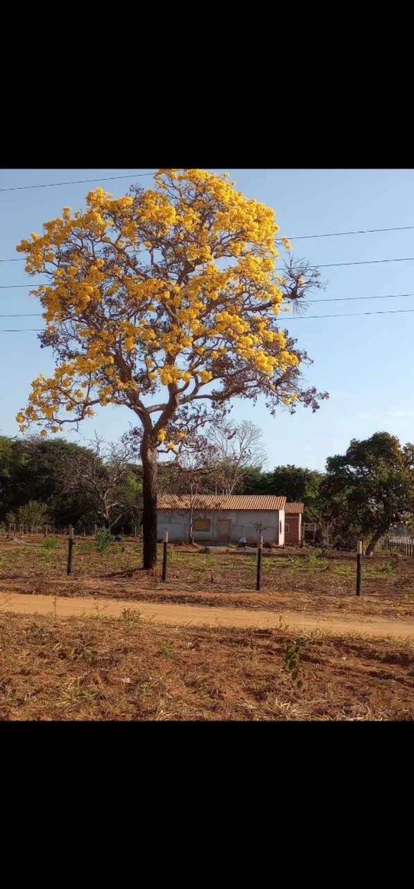 Chácara no Rio dos Bois
