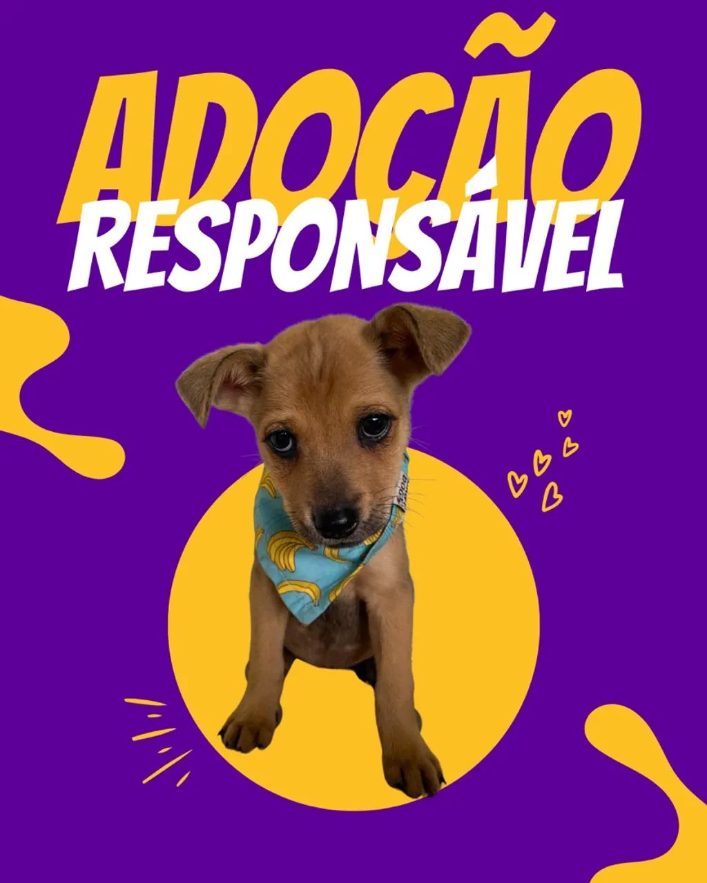 Adote um filhote com amor! - Foto 2