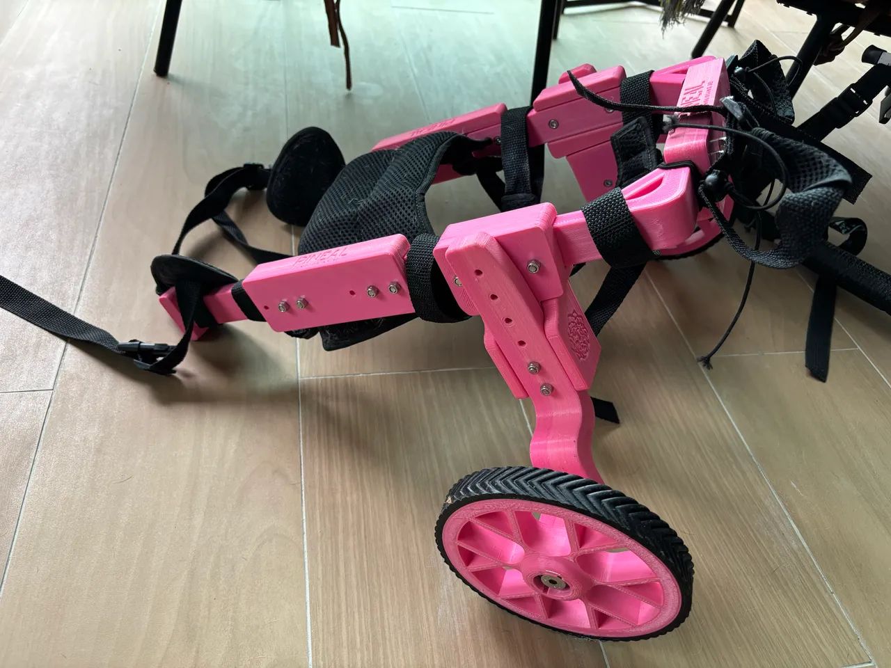 Cadeira de rodas Pet PINEAL  - Foto 3