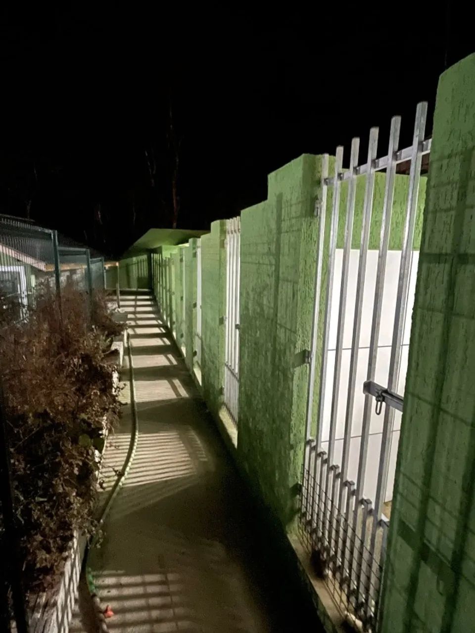 Border Collie | Canil 100% Regularizado - Foto 2