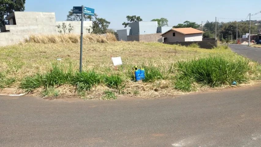 Foto - São José do Rio Preto - Centro