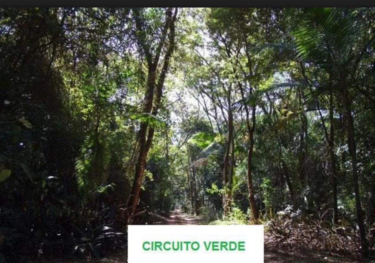 Palmas Del Rey - Foto 4