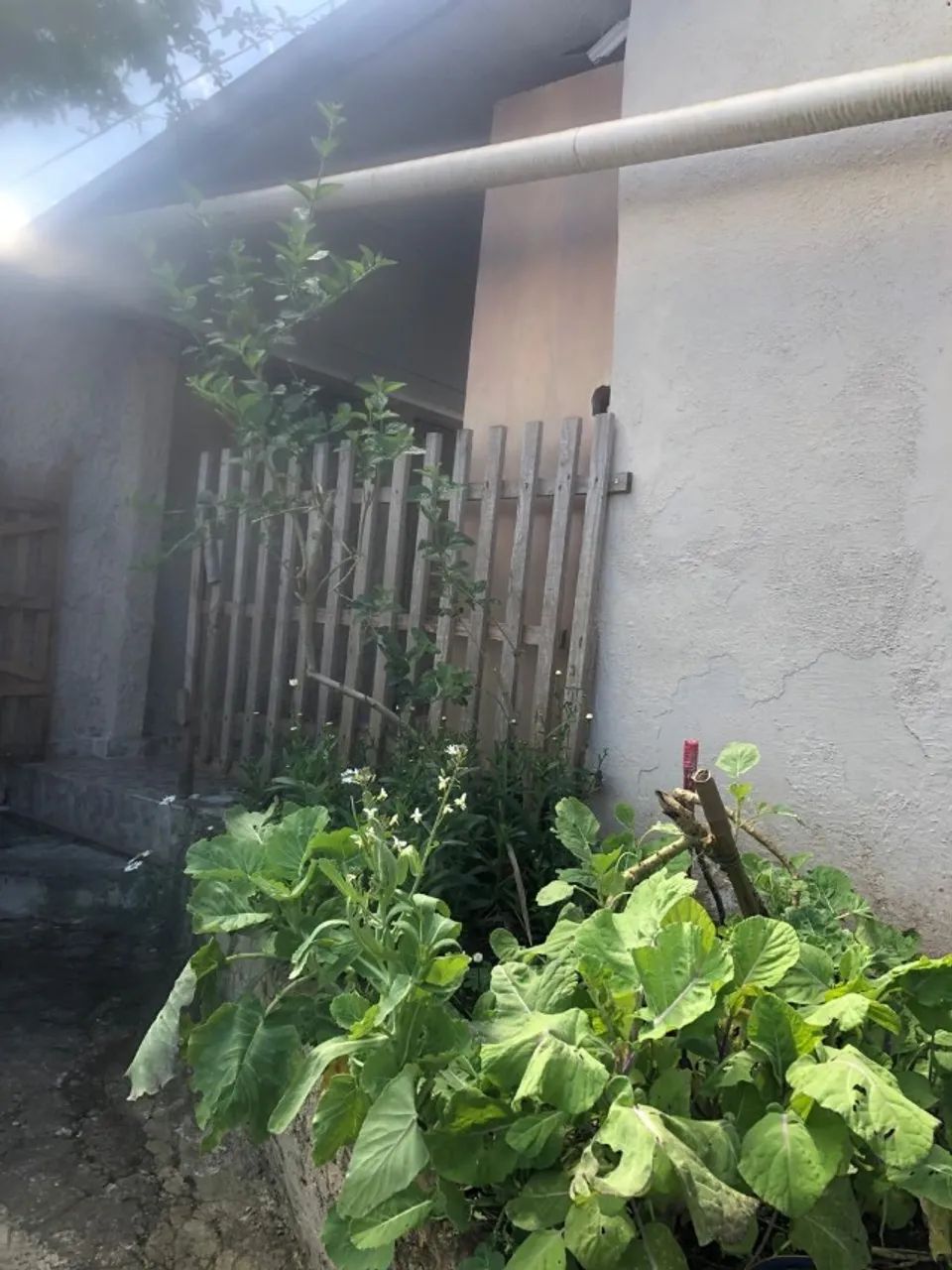 Foto - Pinhais - Jardim Amélia