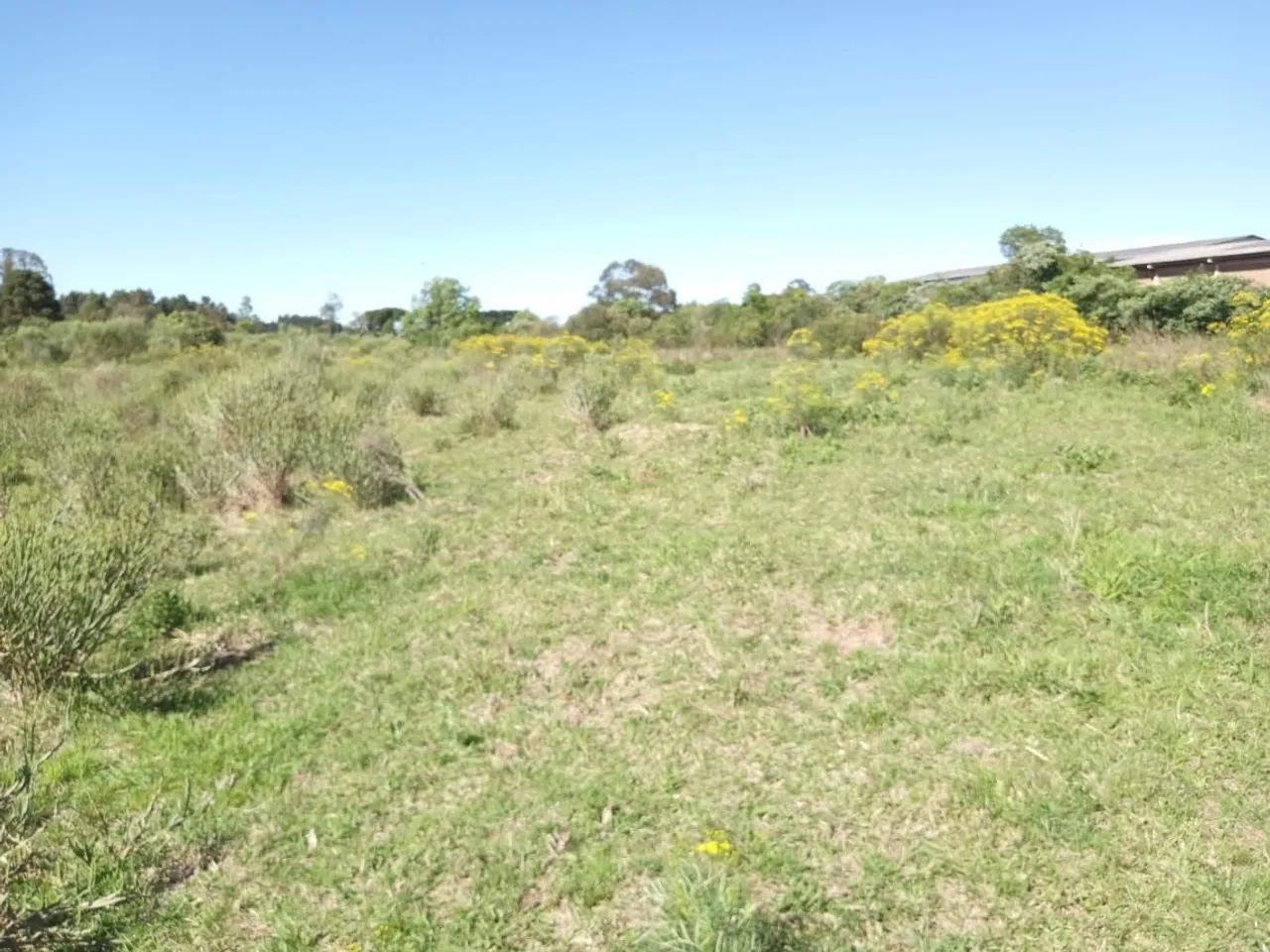 Sítio de 2 hectares em Gramado  - Foto 2