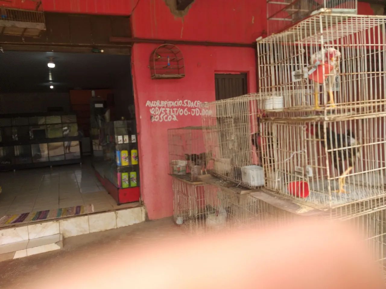 Casa de ração pet shop - Foto 4