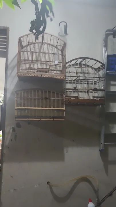 Gaiolas vendo pela unidade e todas também 