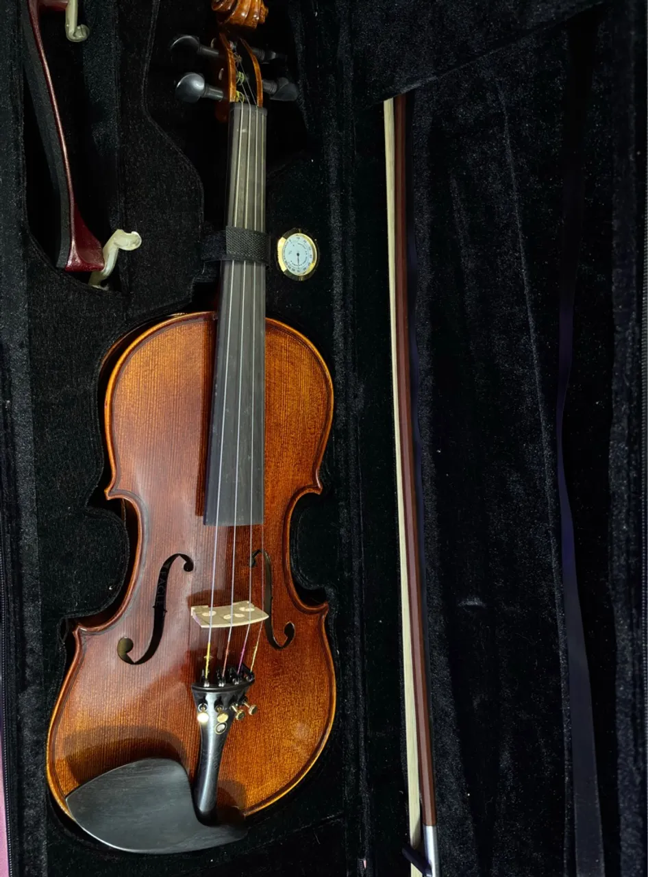 Violino Eagle 4/4 Envelhecido VK 644 Série Master - Completo e Pronto para Uso