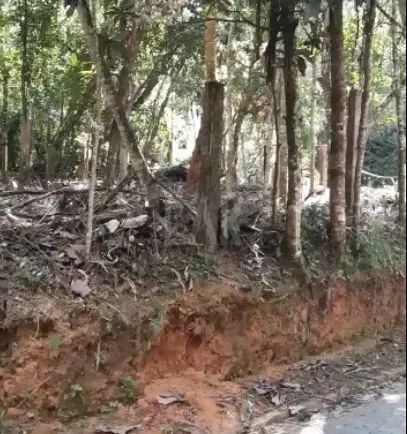 Lote em Condomínio à venda, Estância Serrana - Nova Lima/MG - Foto 5