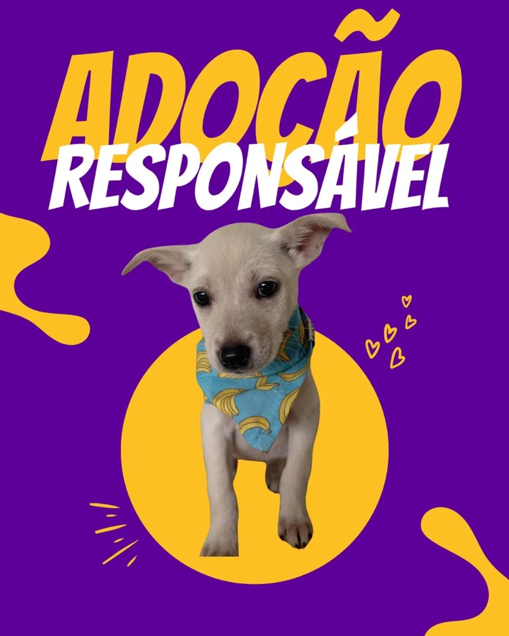 Adote um filhote com amor! - Foto 4