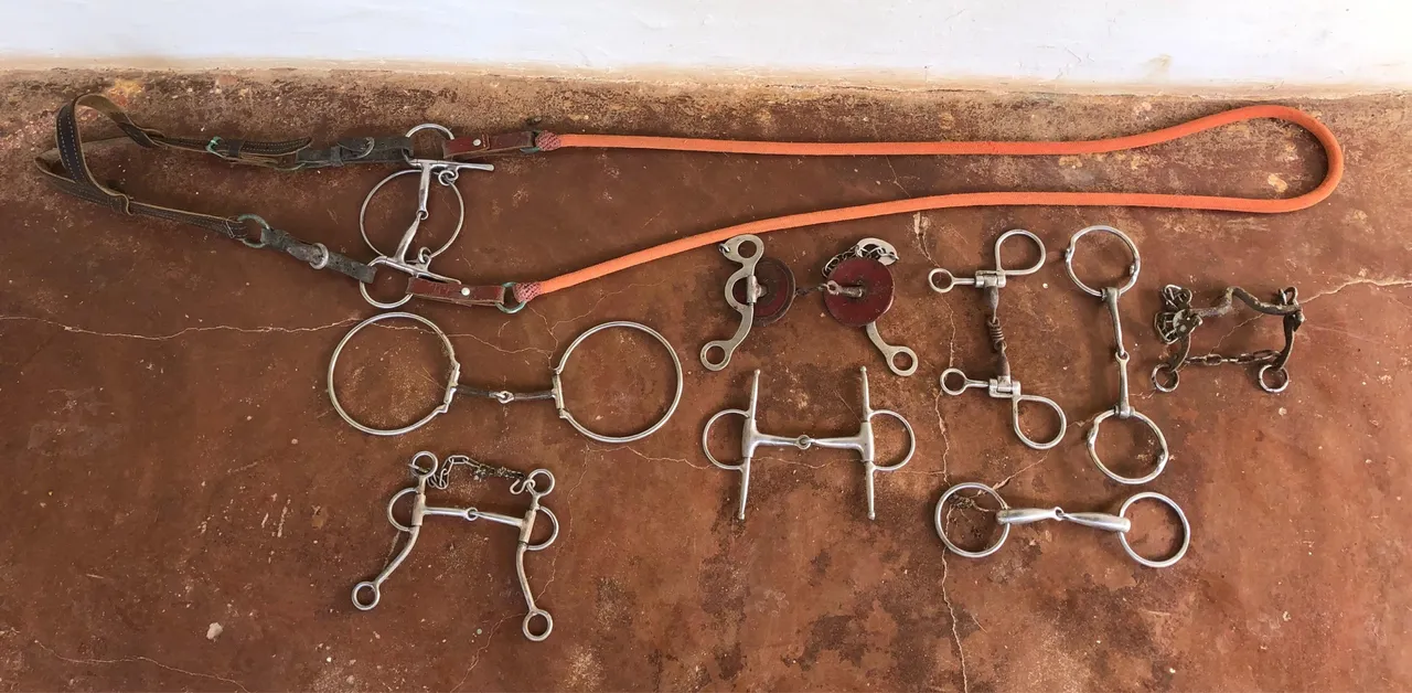 Embocaduras para equinos!!! Barato?