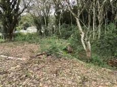 Terreno 500m² no Guarau - Peruíbe - já com licenciamento Ambiental - Foto 2