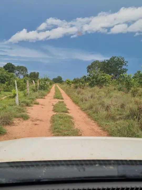Fazenda para Venda em Araguaçu, Zona Rural - Foto 5