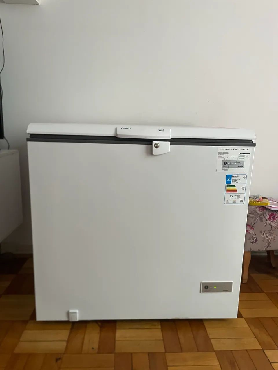 FREEZER 309L