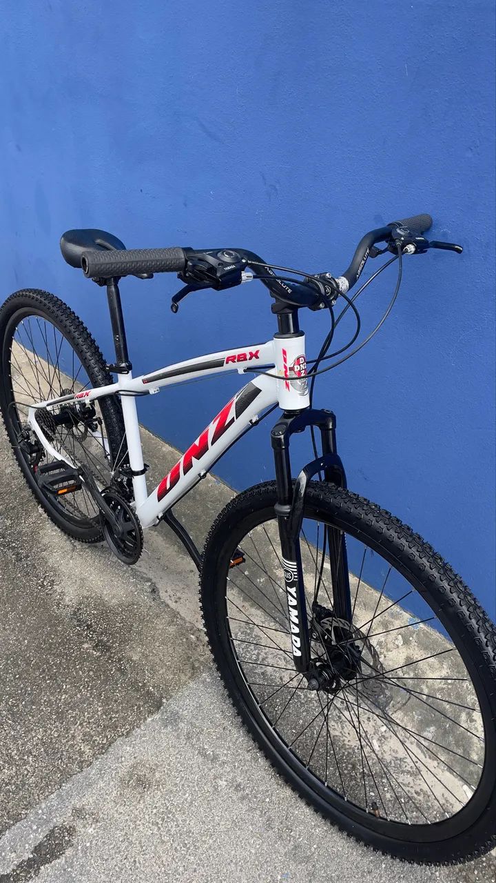 Bicicleta aro 29