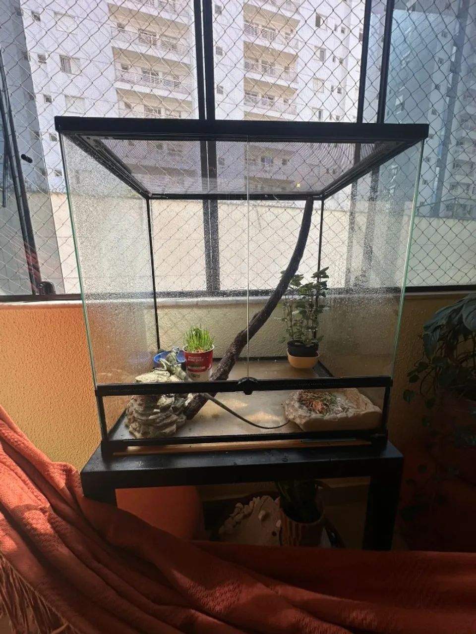 Terrario para reptil iguana
