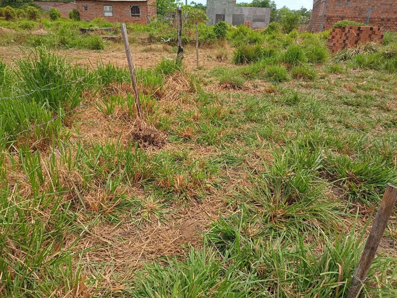 Terreno à venda  - Foto 2