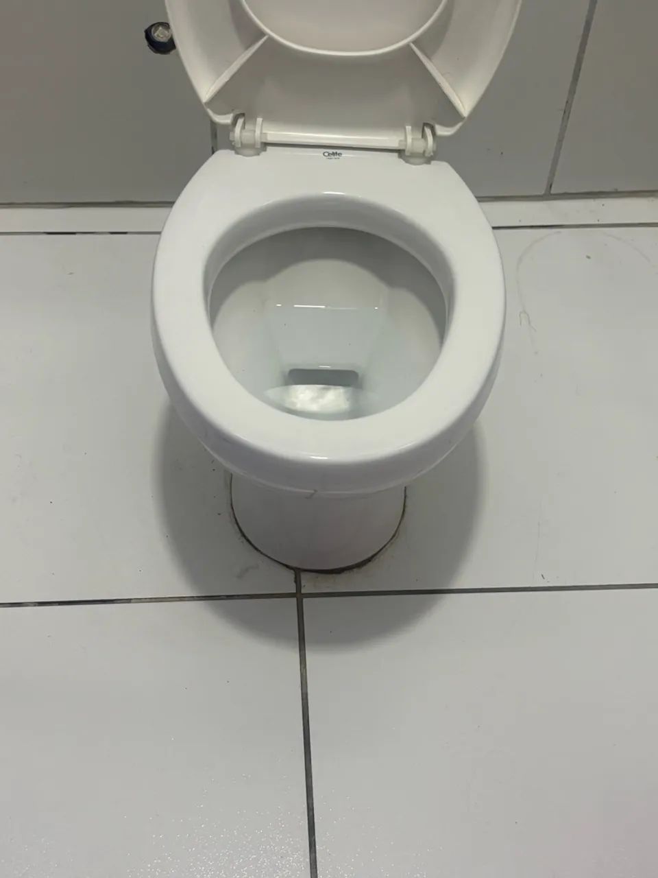 Vaso Sanitário 