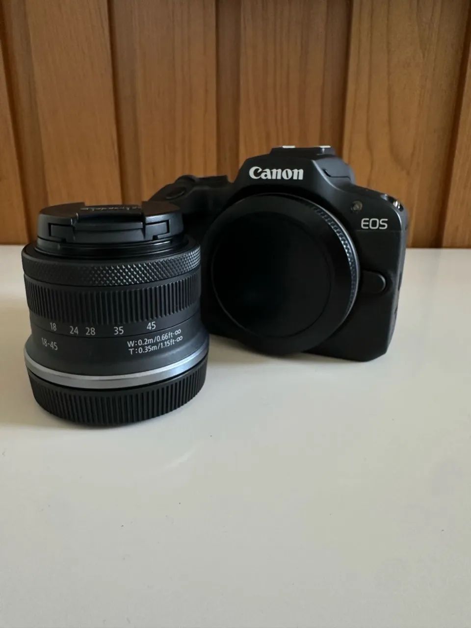 Canon R100
