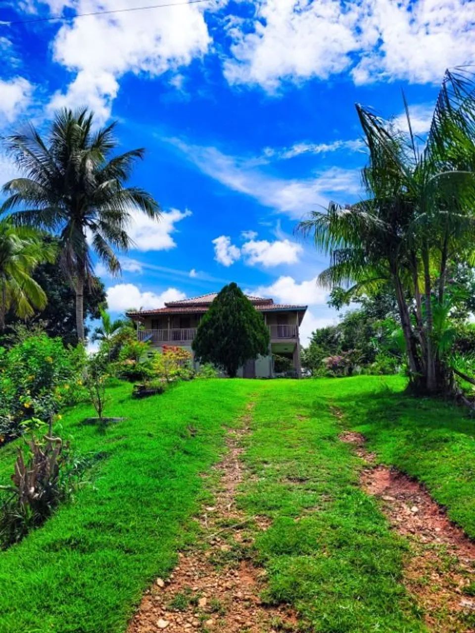 Vende-se Sítio em Ouro Preto do Oeste - RO - Foto 2