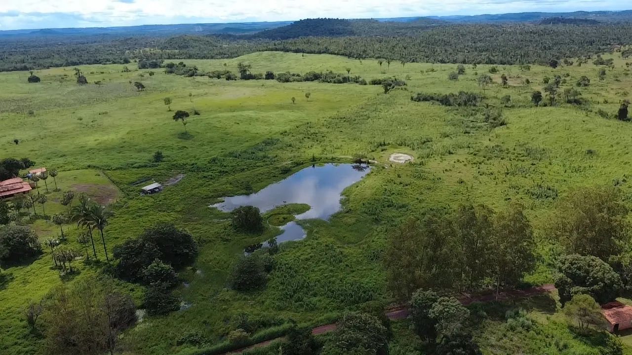 Fazenda - Foto 5